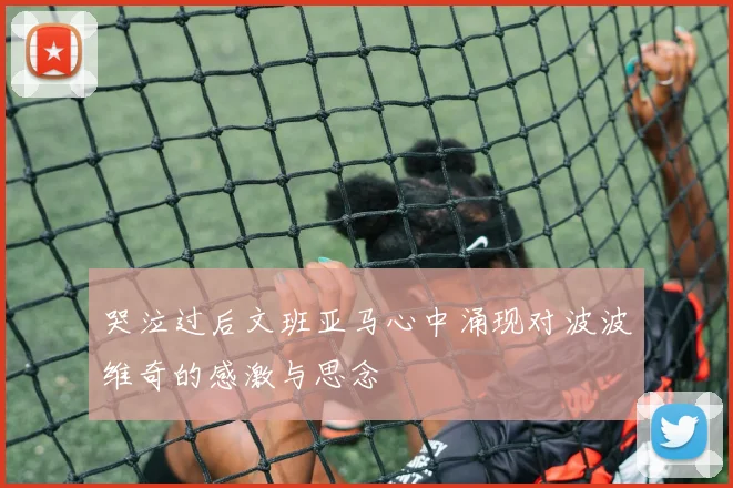 哭泣过后文班亚马心中涌现对波波维奇的感激与思念